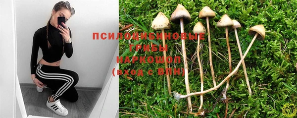 трава Новодвинск