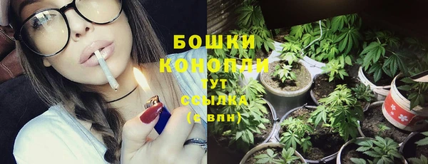 трава Новодвинск