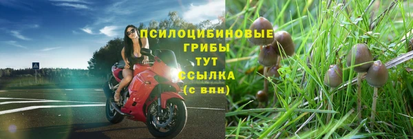 mdpv Новозыбков