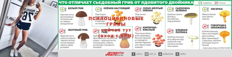 Галлюциногенные грибы GOLDEN TEACHER  где можно купить   ОМГ ОМГ ТОР  Куйбышев 