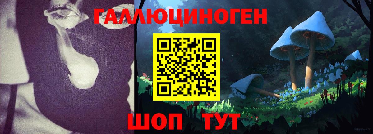 Псилоцибиновые грибы Cubensis Куйбышев